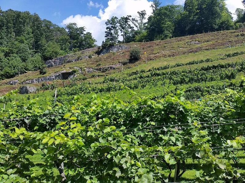 On Top Of The World At Sugar Top Resort シュガー・マウンテン エクステリア 写真
