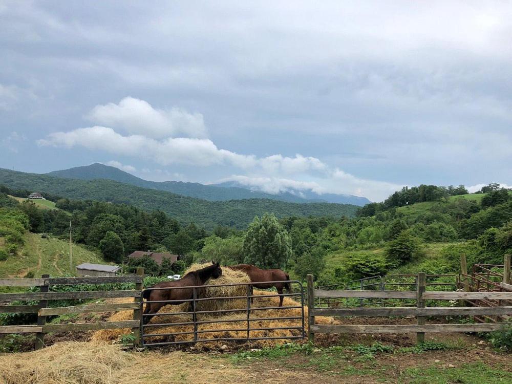 On Top Of The World At Sugar Top Resort シュガー・マウンテン エクステリア 写真